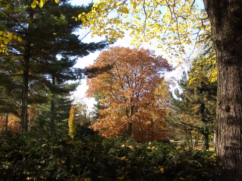 podzim
