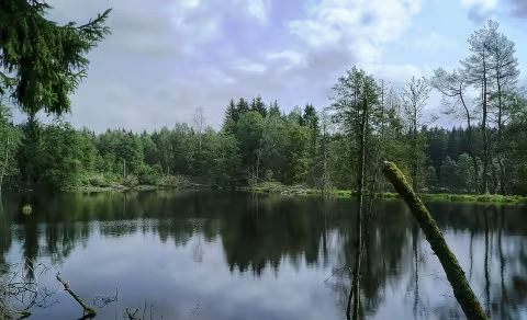 Vodní svět