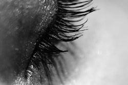 SONY RX1 macro